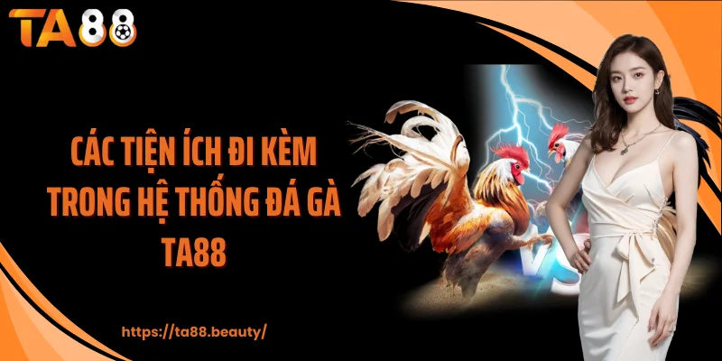 Các tiện ích đi kèm trong hệ thống đá gà TA88