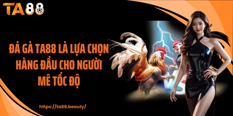 Đá gà TA88 là lựa chọn hàng đầu cho người mê tốc độ