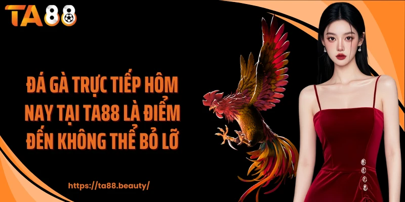 Đá gà trực tiếp hôm nay tại TA88 là điểm đến không thể bỏ lỡ