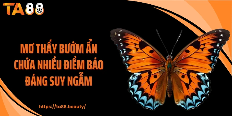 Mơ thấy bướm ẩn chứa nhiều điềm báo đáng suy ngẫm