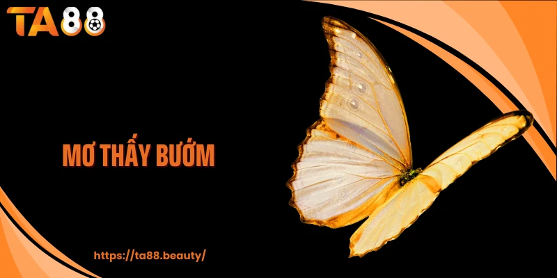 Mơ thấy bướm