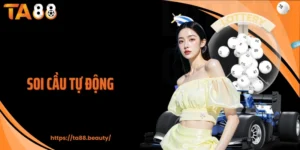 Soi cầu tự động