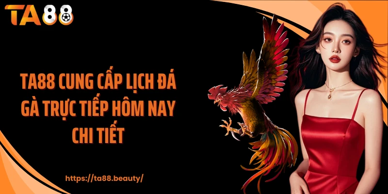 TA88 cung cấp lịch đá gà trực tiếp hôm nay chi tiết