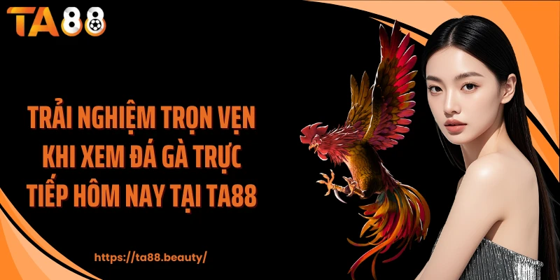 Trải nghiệm trọn vẹn khi xem đá gà trực tiếp hôm nay tại TA88